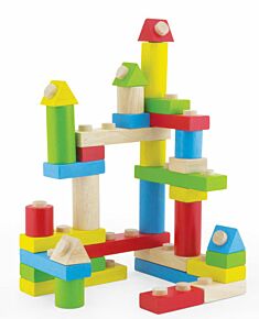 Connect 'n' Build Blocks - Pintoy