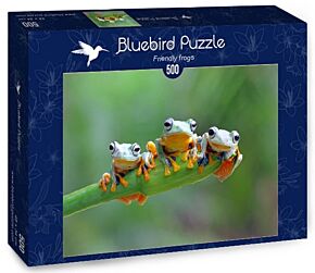 Friendly Frogs - Bluebird Puzzle