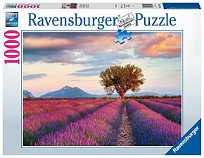 Lavendel Velden - legpuzzel 1000 stukken